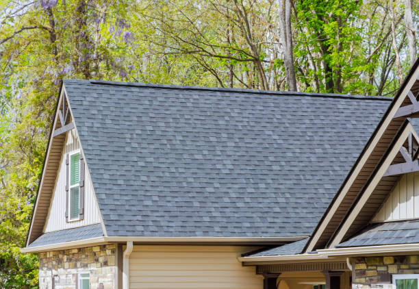Best Skylight Installation and Repair  in Wellsburg, WV